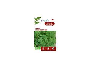 Persil Frisé Vert Foncé AB BIO