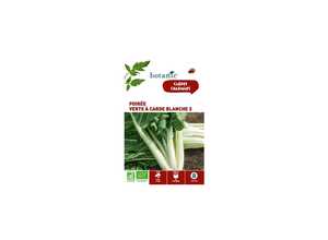Poirée Verte à Carde Blanche 3 AB BIO