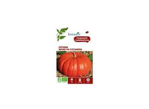 Potiron Rouge Vif d’Étampes AB BIO Potiron Rouge Vif d’Étampes AB BIO