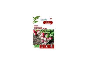 Radis Rond Rouge à Petit Bout Blanc AB BIO Radis Rond Rouge à Petit Bout Blanc AB BIO