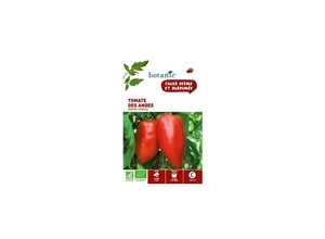 Tomate des Andes - Andine Cornue AB BIO Tomate des Andes - Andine Cornue AB BIO