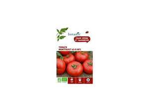 Tomate Montfavet 63-5 HF1 AB Bio Tomate Montfavet 63-5 HF1 AB Bio