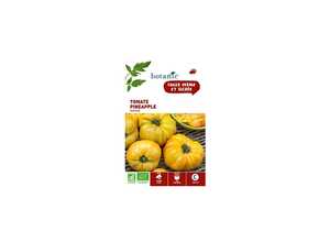 Tomate Pineappleananas AB BIO Tomate Pineappleananas AB BIO