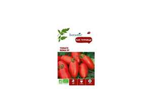 Tomate Roma Vf AB BIO Tomate Roma Vf AB BIO