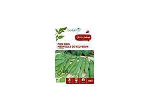 Pois nain merveille de kelvedon bio 100 gr Pois nain merveille de kelvedon bio 100 gr
