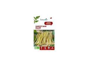 HARICOT  MAJOR BIO 80 graines
