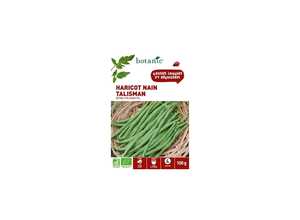Haricot Nain Talisman Extra-Fin sans Fil AB 100 gr