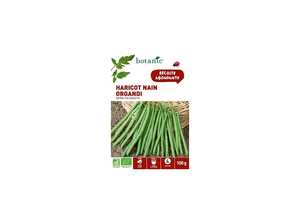 Haricot Nain Organdi Extra-Fin sans Fil AB 100 gr