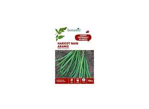 Haricot nain aramis extra-fin sans fil 100 gr