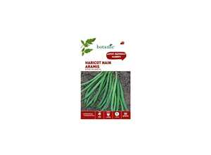 Haricot nain aramis extra-fin sans fil 80 Graines