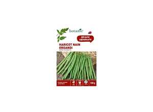 Haricot nain organdi  extra-fin sans fil 100 gr