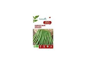 HARICOT NAIN ORGANDI  EXTRA-FIN SANS FIL BIO 80 graines