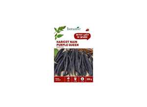 Haricot Nain Purple Queen Mangetout 200 gr