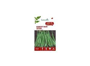 Haricot nain totem extra-fin sans fil 80 Graines Haricot nain totem extra-fin sans fil 80 Graines