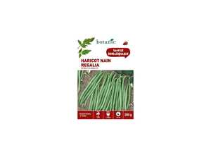 Haricot Nain Regalia Extra-Fin sans Fil 200 gr