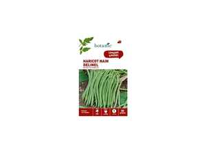 Haricot nain delinel extra-fin sans fil 80 Graines