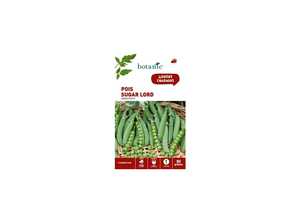 Pois nain sugar lord 80 Graines Pois nain sugar lord 80 Graines