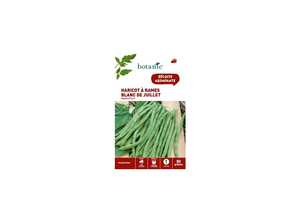 Haricot a rames blanc de juillet a rames mangetout 80 Graines