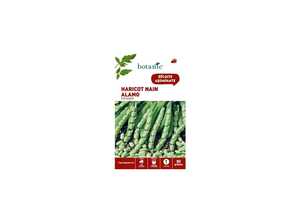 Haricot nain alamo a ecosser 80 Graines