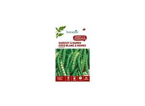 Haricot a rames a ecosser coco blanc a rames 80 Graines