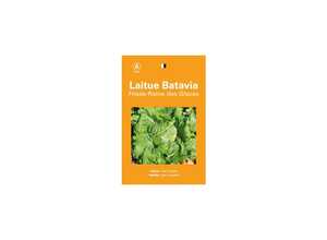Laitue batavia frisee reine des glaces Laitue batavia frisee reine des glaces