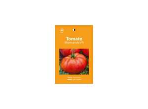 Tomate marmande Tomate marmande