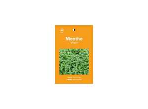 MENTHE VRAIE
