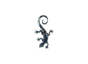Salamandre pm 52 cm