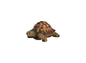 Tortue verte 17cm