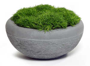 Coupe boule AUTHENTIC D30,5xH12 Ciment Coupe boule AUTHENTIC D30,5xH12 Ciment