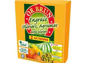 Engrais 2A oliviers et agrumes 2,5 kg