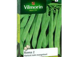 Haricot Roma 2 150 g