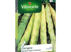 Haricot Cocagne 200 g