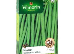 Haricot Favorel 200 g