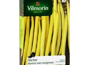 Haricot Victor 200 g
