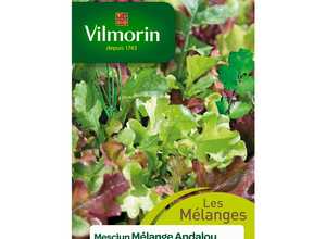Mesclun andalou