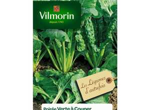Poiree verte a couper