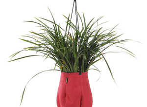 Water Bag à suspendre Rose - Taille M Ø 24 cm