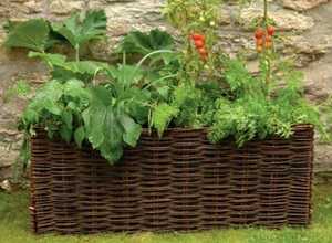 Pot pour LÃ©gumes & Tomate Osier Naturel - Burgon et Ball