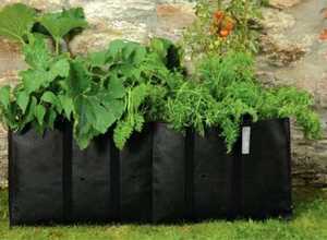 Très Grand Sachet pour Planter des Légumes - pack individuel - Burgon et Ball