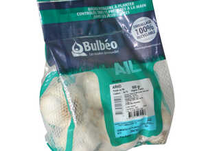 Bulbes d’ail rose arno calibre 50+, 500 g Bulbes d’ail rose arno calibre 50+, 500 g