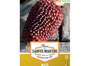 Maïs Fraise
