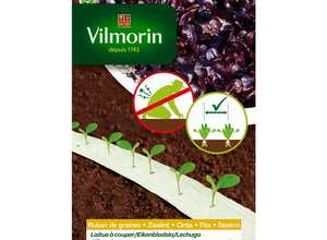 Ruban laitue à couper grenadine