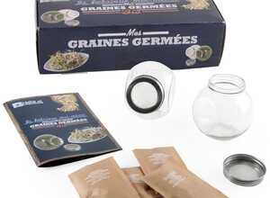 Graines à germer 2 germoirs