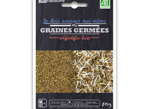 Graines à germer Alfalfa Bio