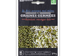 Graines à germer Haricot Mungo Bio