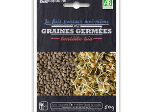 Graines à germer Lentille Bio