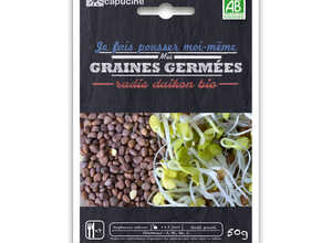 Graines à germer Radis Daïkon Bio