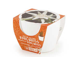 Mini kit céramique Edelweiss