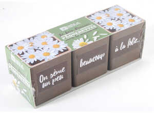 Trio pots Pâquerette Bio